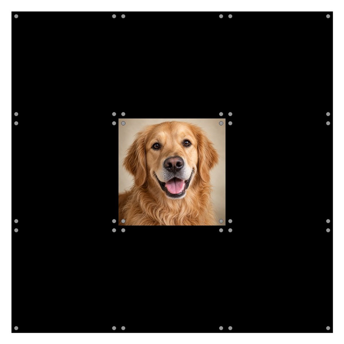 中央のパネルに愛犬の写真を配置：3×3のグリッドのうち、どのパネルに写真が印刷されますか